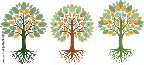 Set of four green vector trees with visible root systems underground including oak pine and spruce isolated on white background