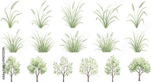 Set of watercolor style green grass and small leaf tree vector illustrations isolated on white background for landscape design nature backgrounds