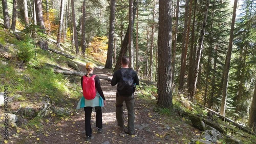 Two hikers walk a sun-dappled forest trail. Dense pines frame the winding path. One hiker carries a backpack. Sunlight filters through tall green trees. The path rises gently through the woods
