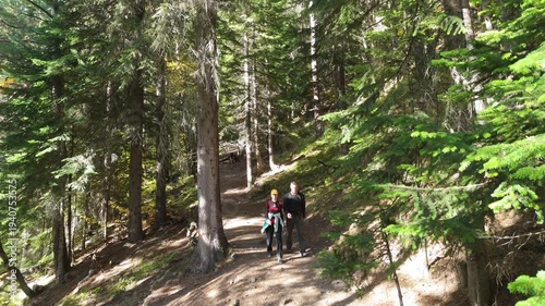 Two hikers walk a sun-dappled forest trail. Dense pines frame the winding path. One hiker carries a backpack. Sunlight filters through tall green trees. The path rises gently through the woods