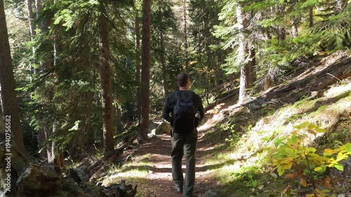 Two hikers walk a sun-dappled forest trail. Dense pines frame the winding path. One hiker carries a backpack. Sunlight filters through tall green trees. The path rises gently through the woods