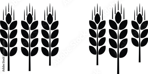 Two bundles of stylized wheat stalks depicted in black and white graphic design Vector