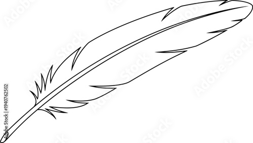 A detailed illustration of a feather with intricate line work and natural contours Vector