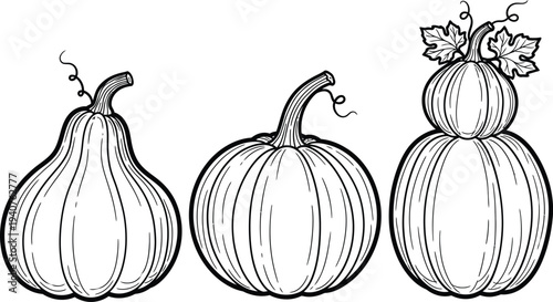 Pumpkin coloring page for kids with three different gourds