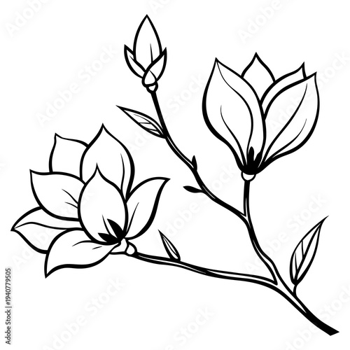 Vintage floral vector set featuring black and white tree silhouettes and seamless nature patterns with elegant leaf branch ornaments for spring wallpaper design
