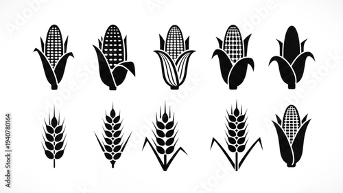 set of black silhouette corn and maize icons simple flat vector illustration.