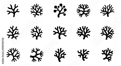 Collection of various black coral silhouettes arranged in a grid pattern on a clean white background viewed from directly above
