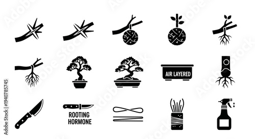 Collection of black icons representing various stages and tools for plant propagation and gardening displayed on a transparent background from a top view