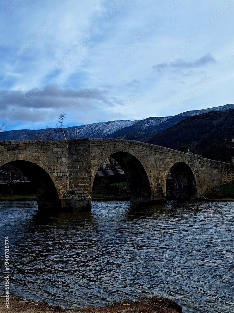 Fototapeta premium bridge over the river