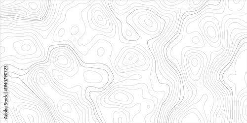 Minimal White Topographic Contour Map Pattern with Light Gray Elevation Lines, Abstract Terrain Background and Modern Geographic Cartography Style.