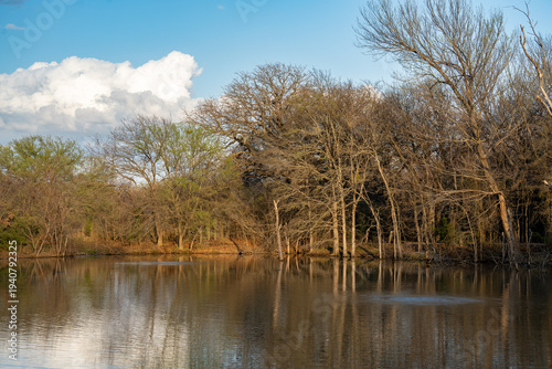 Lake and Trees at Cedar Hill State Park