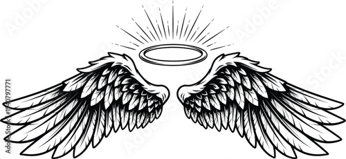 Bird vector isolated on transparent background wings halo