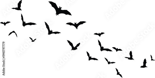 Bird vector flock of bats isolated on transparent background