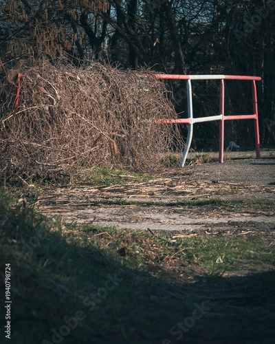 Foto Handrail almost consumed by the grass
