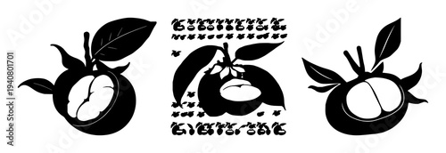 Mangosteen fruit set with solid black silhouette featuring tropical exotic theme, leaf crown, black and white illustration with fruit and foliage and botanicals