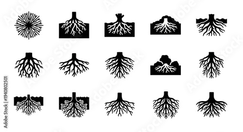 Collection of Various Tree Root Systems Illustrated in Black Silhouettes Against a White Background from Different Viewpoints