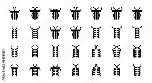 Collection of twenty beetle illustrations displayed in a grid pattern on a clean white background from a direct viewpoint