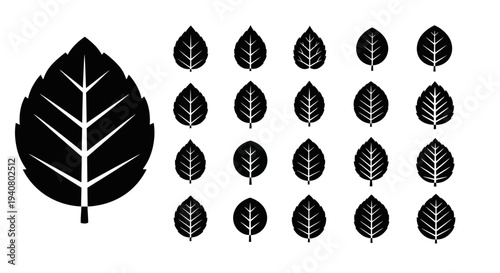 Collection of various black leaf silhouettes and illustrations on a clean background viewed from directly above