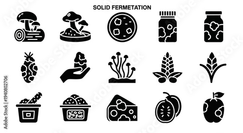 Collection of solid fermentation icons representing various stages and elements of the fermentation process in a simple black and white style