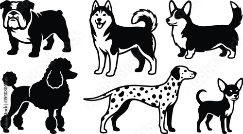 Silhouette vector set of six dog breeds bulldog husky corgi poodle dalmatian chihuahua in bold black flat style side poses