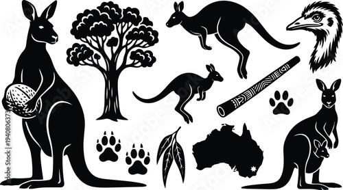 Flat design black silhouette kangaroo with joey emu head boomerang eucalyptus tree paw prints australia map standing side view bold