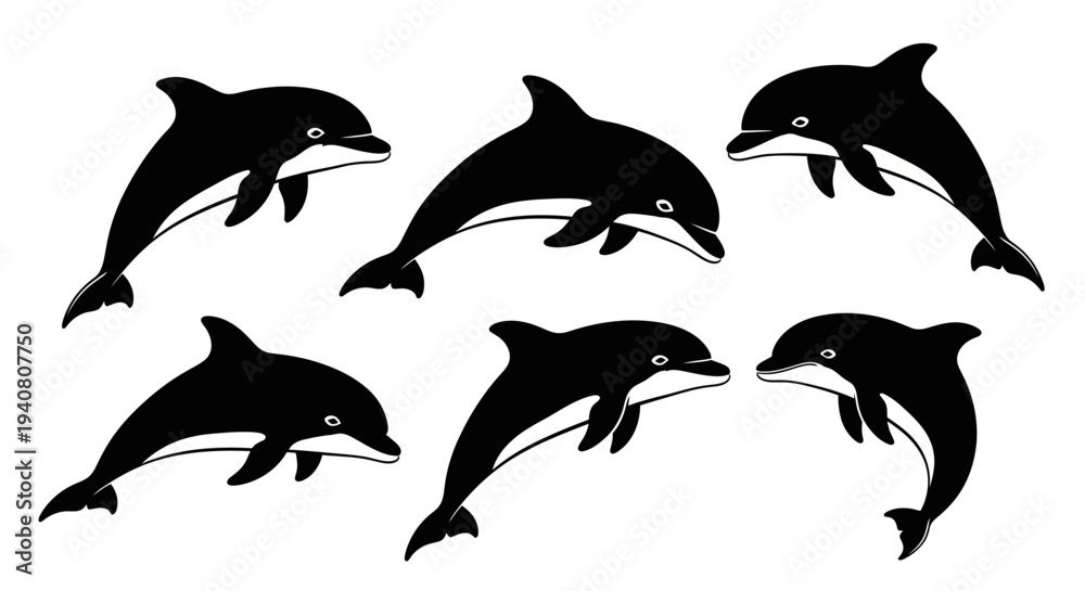 Obraz premium Group of Six Black and White Dolphins Leaping and Swimming in Water