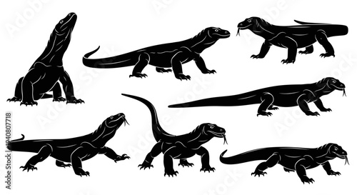 Komodo Dragon Silhouettes Collection: Various Poses of Giant Lizards