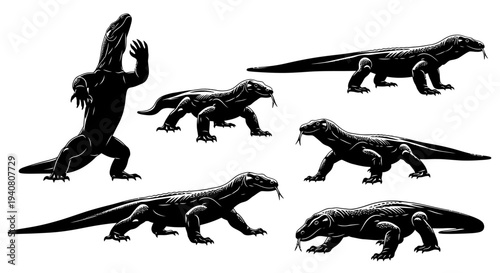 Komodo Dragon Silhouettes Collection: Dynamic Poses of Large Lizards
