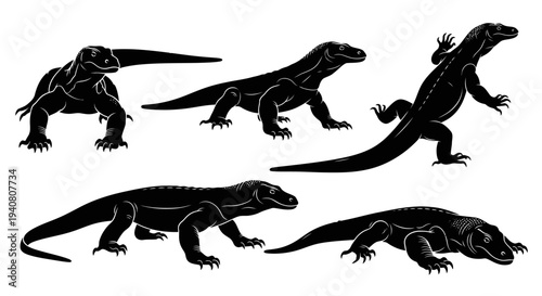 Komodo Dragon Silhouettes: Dynamic Poses of Large Lizards