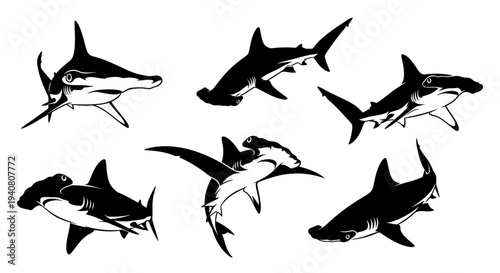 Hammerhead Shark Silhouette Collection: Marine Life Illustration
