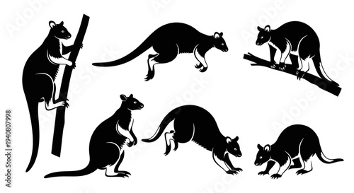 Kangaroo Silhouette Collection: Diverse Poses of Australian Marsupials in Black and White