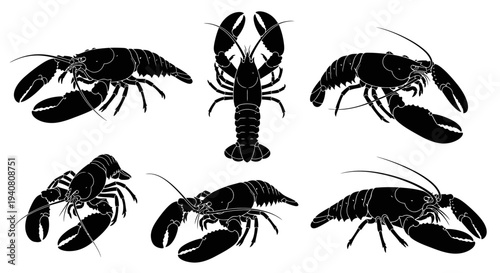 Lobster Silhouette Collection: Multiple Poses of Crustacean in Black and White