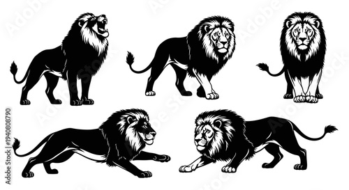 Majestic Lion Silhouettes: A Collection of Powerful Poses