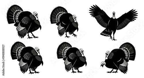 Multiple Turkeys in Various Poses: Standing, Strutting, and Flying