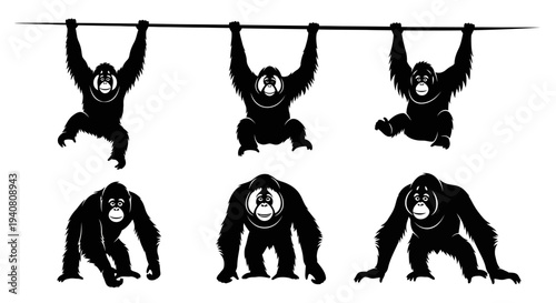Orangutan Silhouette Collection: Hanging, Sitting, and Walking Poses