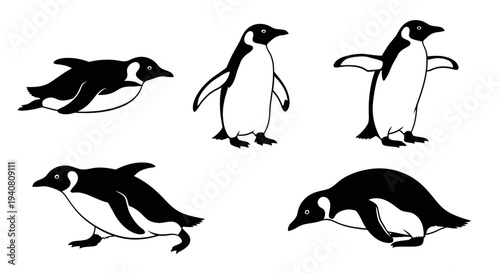 Penguin Poses Collection: Isolated Black and White Illustrations on White Background