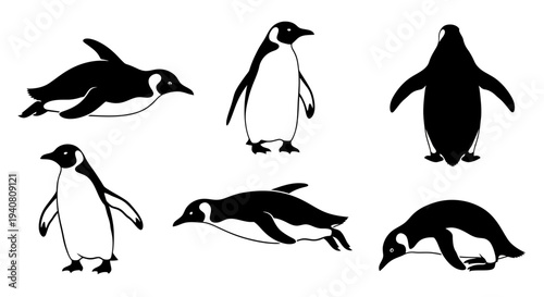 Penguin Poses Collection: Swimming, Standing, and Diving - Black and White Illustration