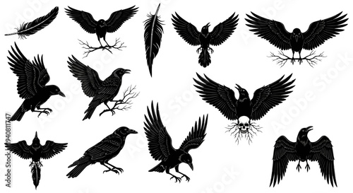 Collection of Raven Silhouettes: Flying, Perched, and Feathers - Black and White Vector Graphics