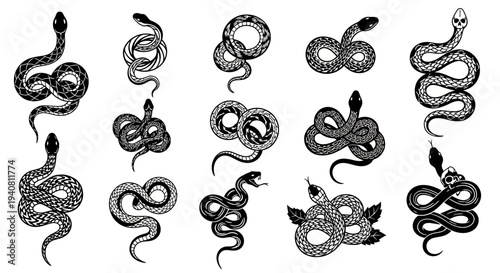 Collection of Hand-Drawn Snake Illustrations, Tattoo Style, Vector Art