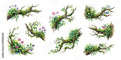 Watercolor set of rustic forest branches twigs with green moss, leafy vines, and wild berries. isolated on transparent background