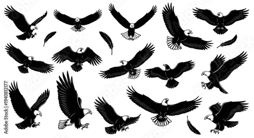 Collection of Majestic Bald Eagles in Flight and Perched, Black and White Graphic Illustrations