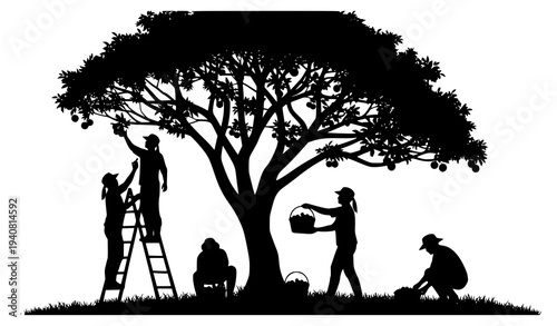 Orchard harvest silhouette vector with people picking fruit from tree teamwork farming isolated on white background