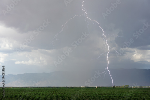 lightning with rain falling over a field