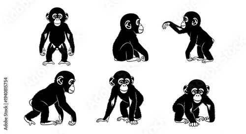 Chimpanzee Poses: Six Silhouettes of Young Chimpanzees in Various Actions