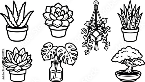 Line art vector botanical icon set of potted succulents, monstera stems in jar, hanging ivy macrame, bonsai close up minimalist