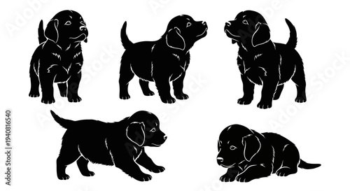 Adorable Black Labrador Puppies Silhouette Collection: Playful Poses