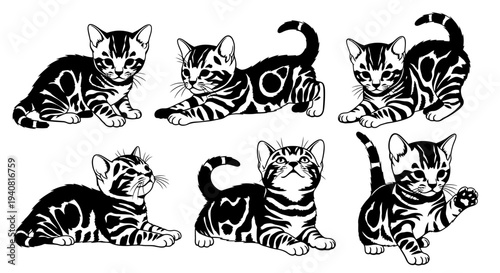Adorable Tabby Kittens Collection: Playful Poses and Cute Expressions in Black and White