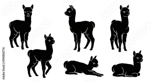 Black Alpaca Silhouettes Collection: Standing, Walking, Lying Down Poses