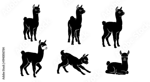 Black Alpaca Silhouettes Collection: Standing, Walking, Playing, Resting Poses