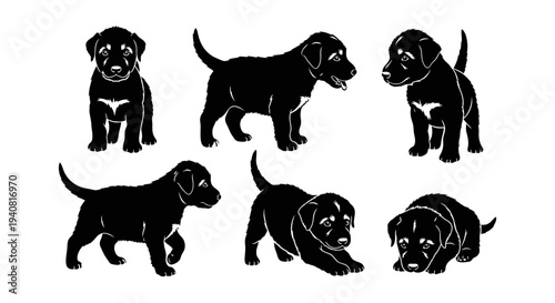 Black Labrador Puppies Silhouettes: Playful Poses of Adorable Young Dogs